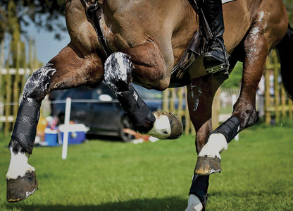 Majyk Equipe XC Elite Hind Boot with Arti-Lage Technology