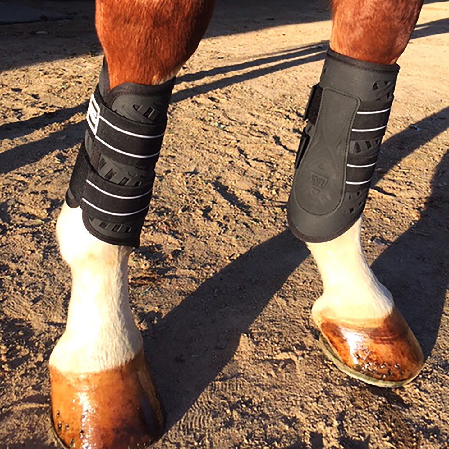 Majyk Equipe Sport/Dressage Front Boots with Arti-Lage Impact Technology