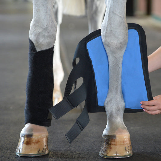 EquiFitEssential Cold Therapy Tendon Boots
