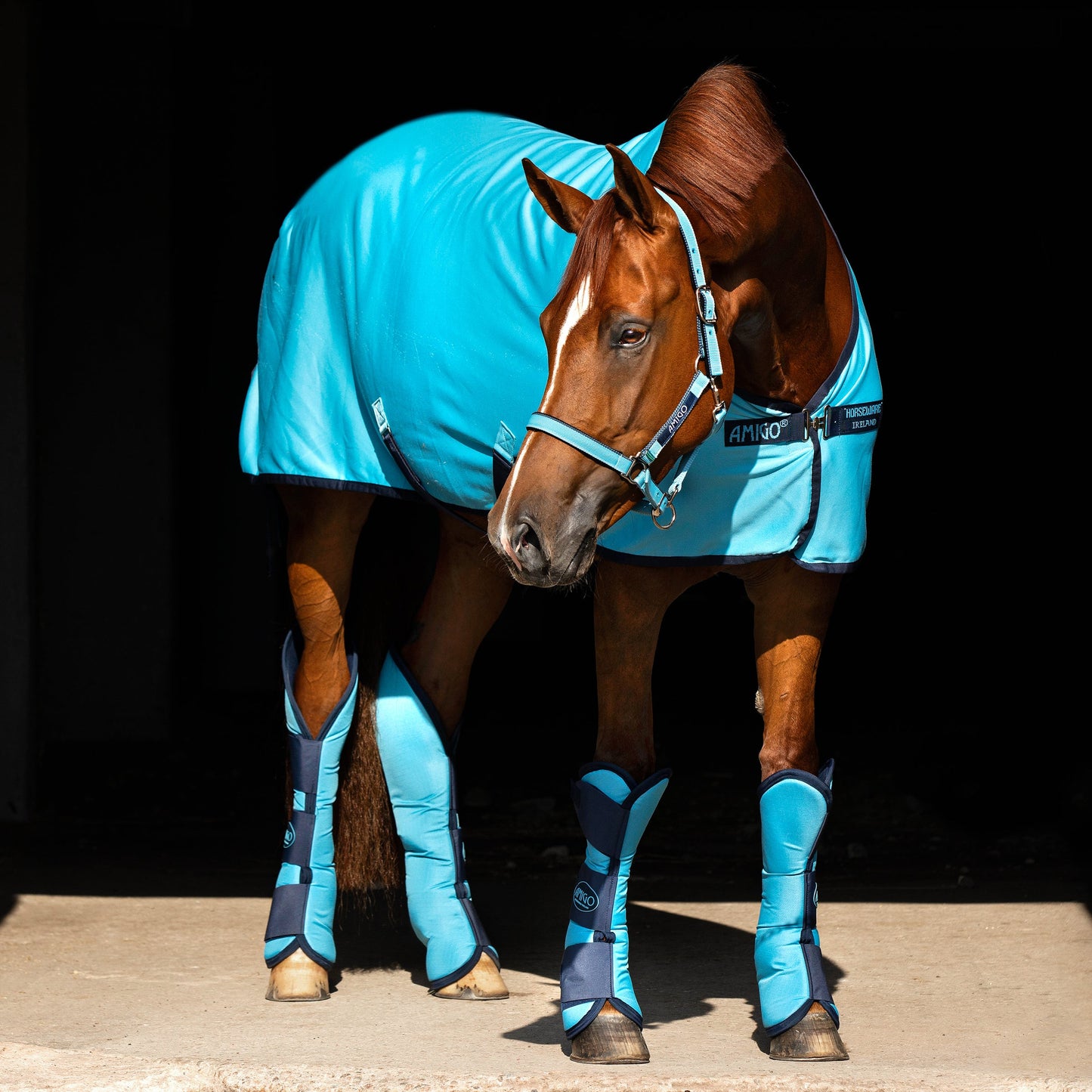 Horseware Ireland Amigo Ripstop Travel Boots