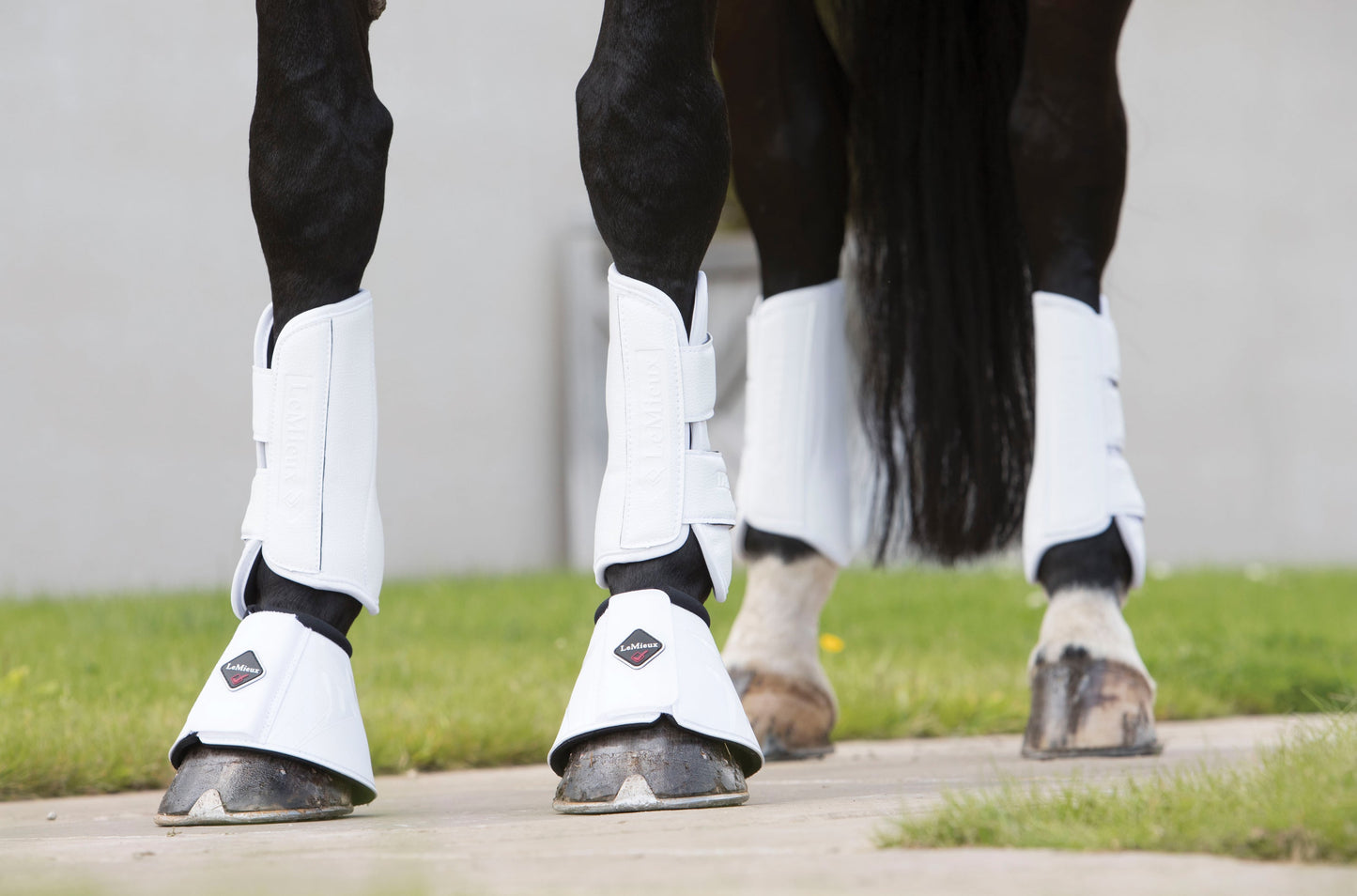 LeMieux Pro Schooling Boots