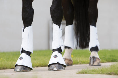 LeMieux Pro Schooling Boots
