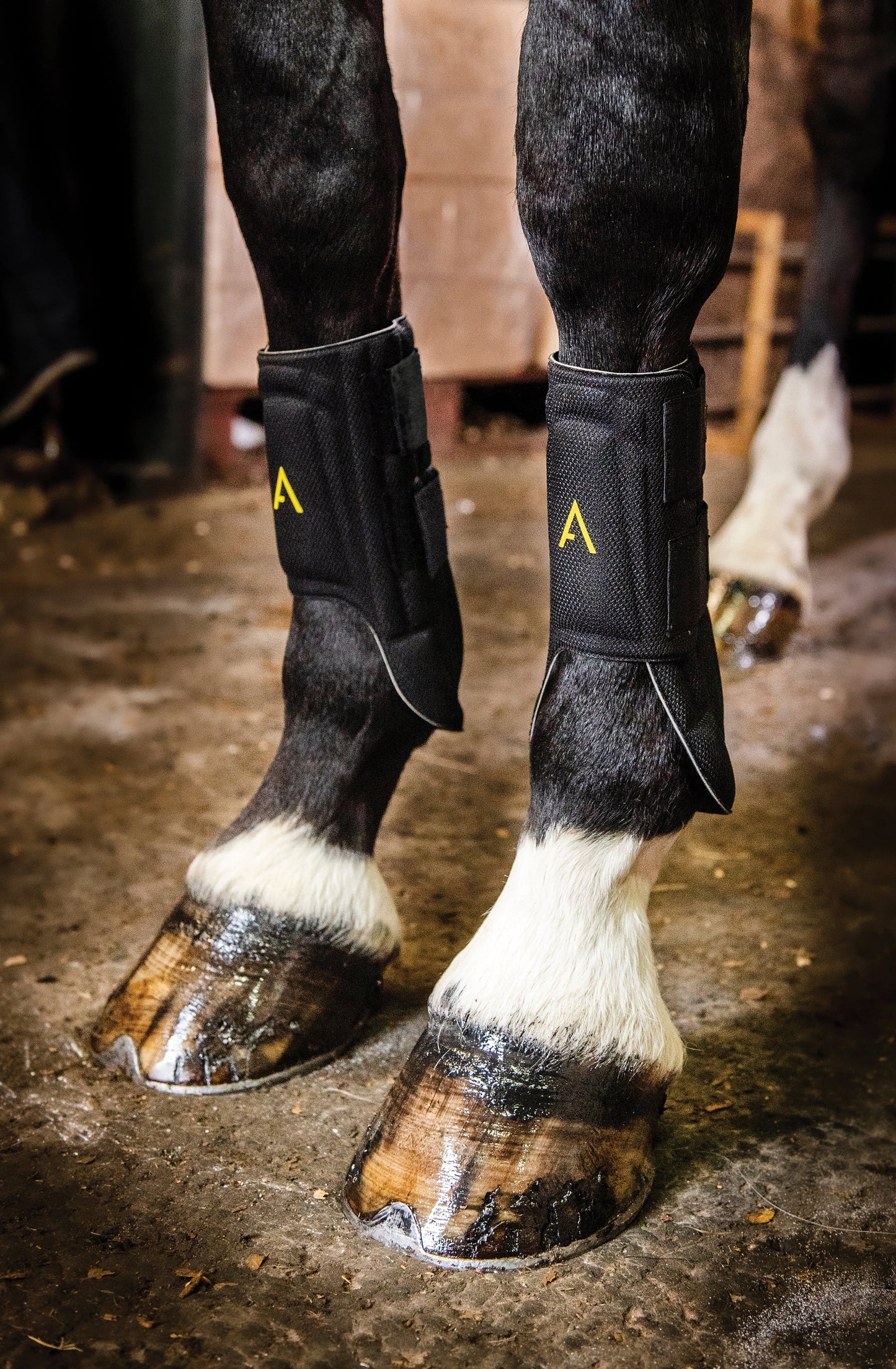Horseware Ireland Adagio Boots