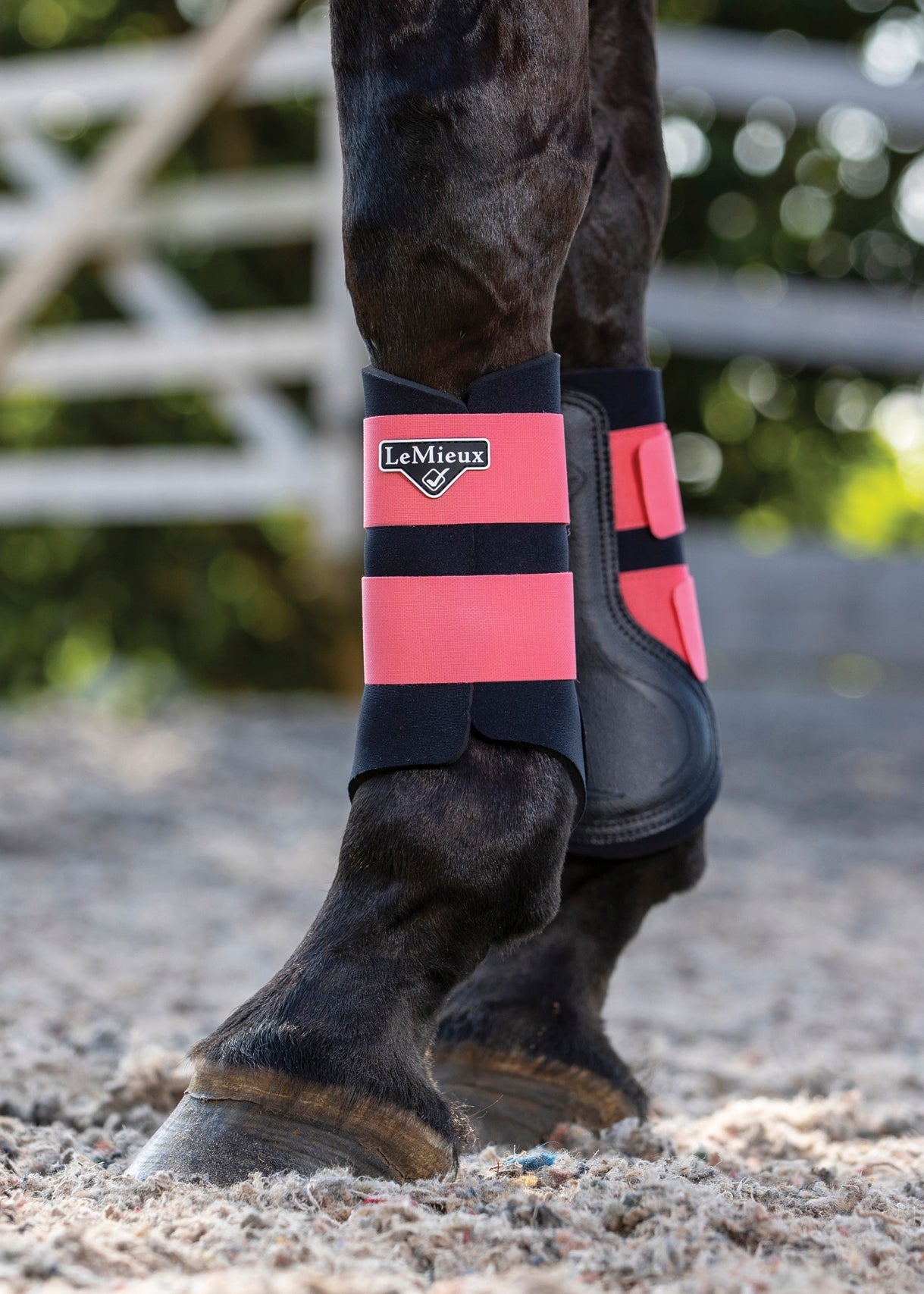 LeMieux Grafter Brushing Boots