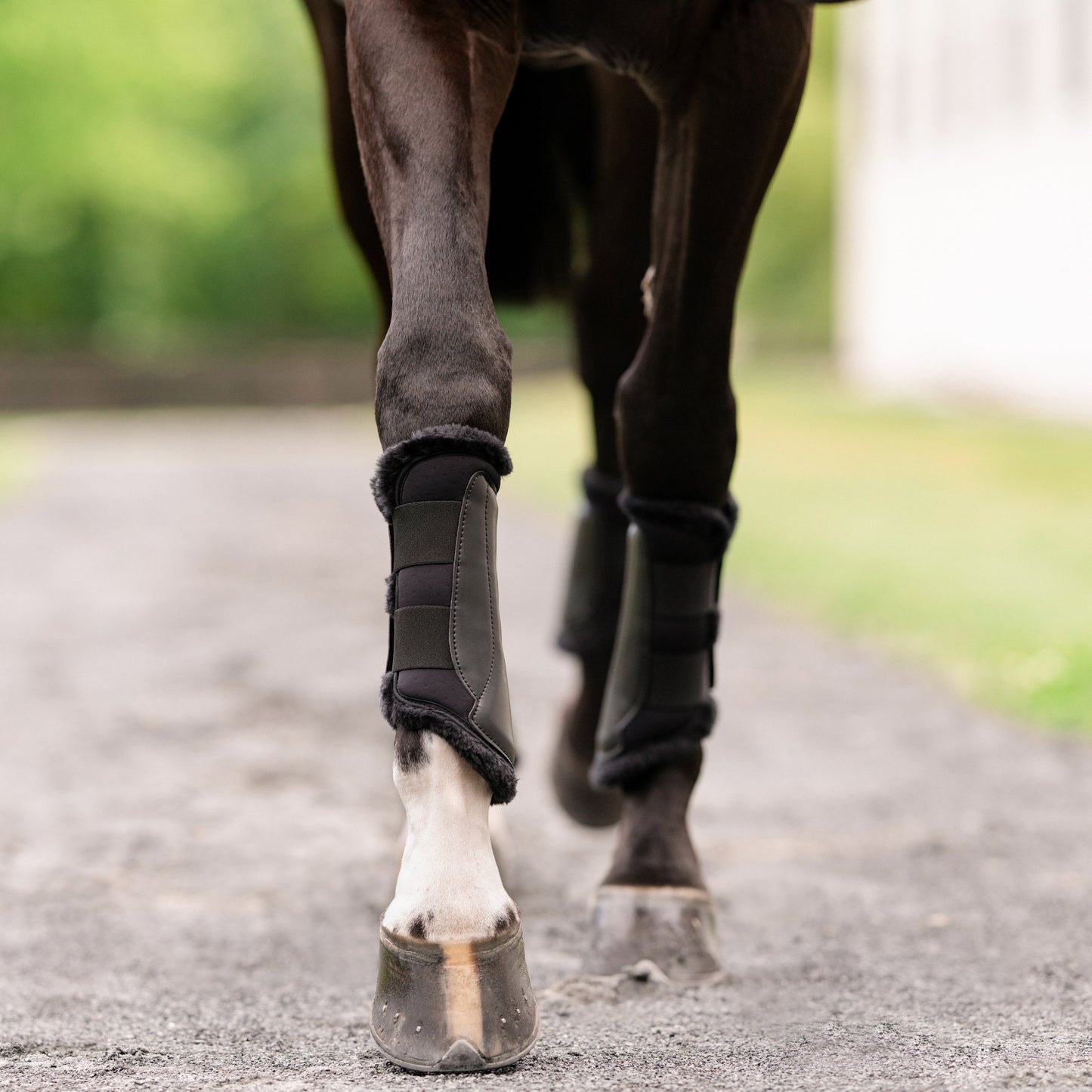 EquiFit Essential EveryDay Front Boots, Vegan SheepsWool