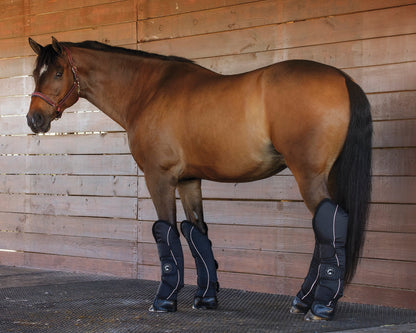 Rider’s International Shipping Boot Set