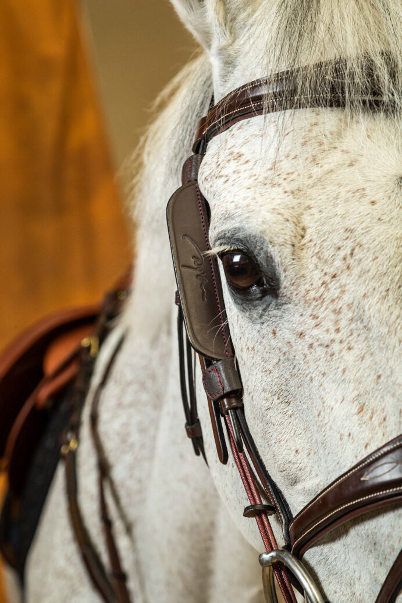 Dy'on Blinkers
