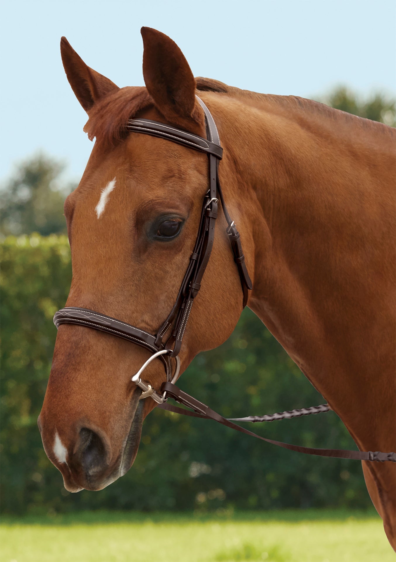 TRU-Fit Build-A-Bridle Fancy-Stitched Hunter Noseband