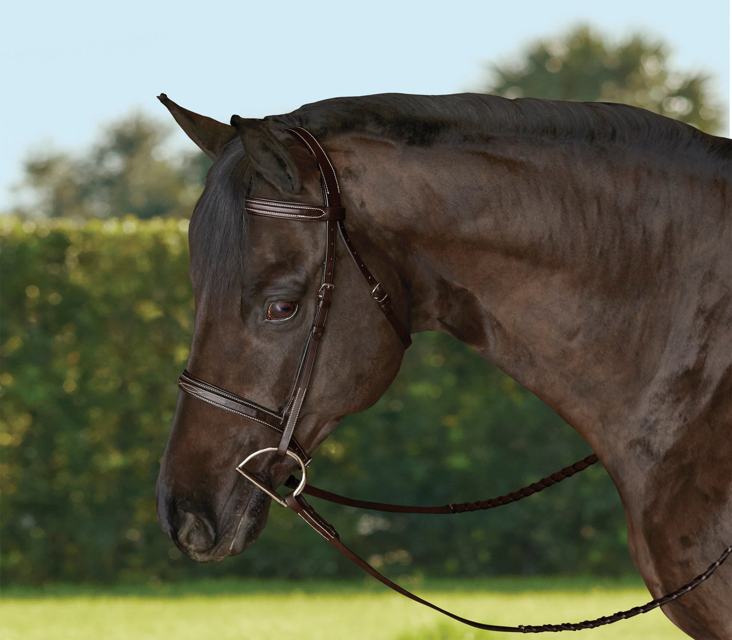 TRU-Fit Build-A-Bridle Fancy-Stitched Hunter Noseband