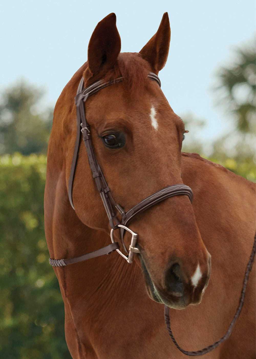 TRU-Fit Build-A-Bridle Fancy-Stitched Hunter Noseband