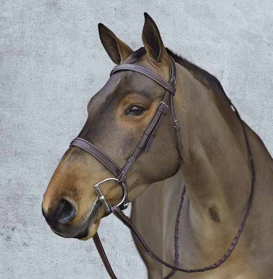 Pessoa Pro Fancy-Stitched Wide Nose Bridle