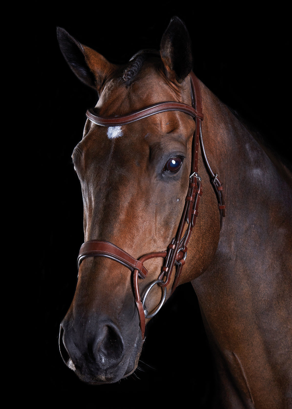 Collegiate ComFiTec Training Bridle