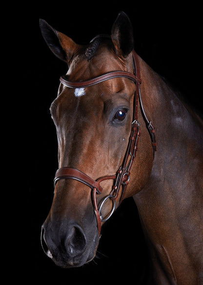Collegiate ComFiTec Training Bridle