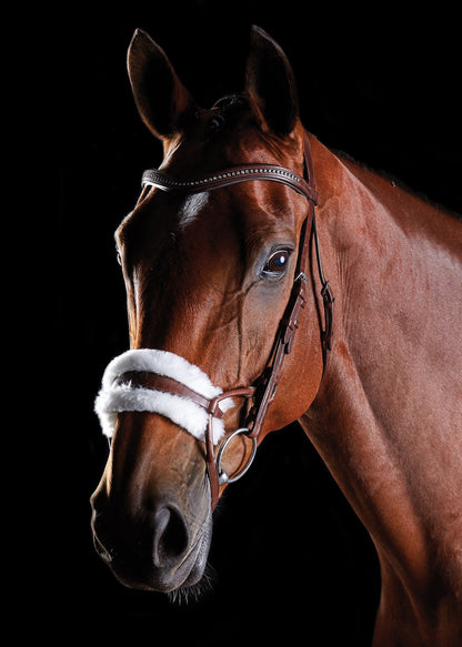 Collegiate ComFiTec Sheepskin Bridle