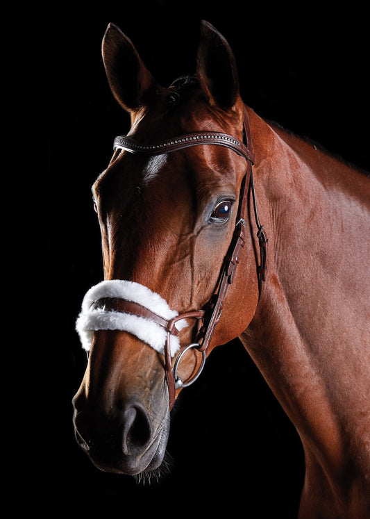 Collegiate ComFiTec Sheepskin Bridle
