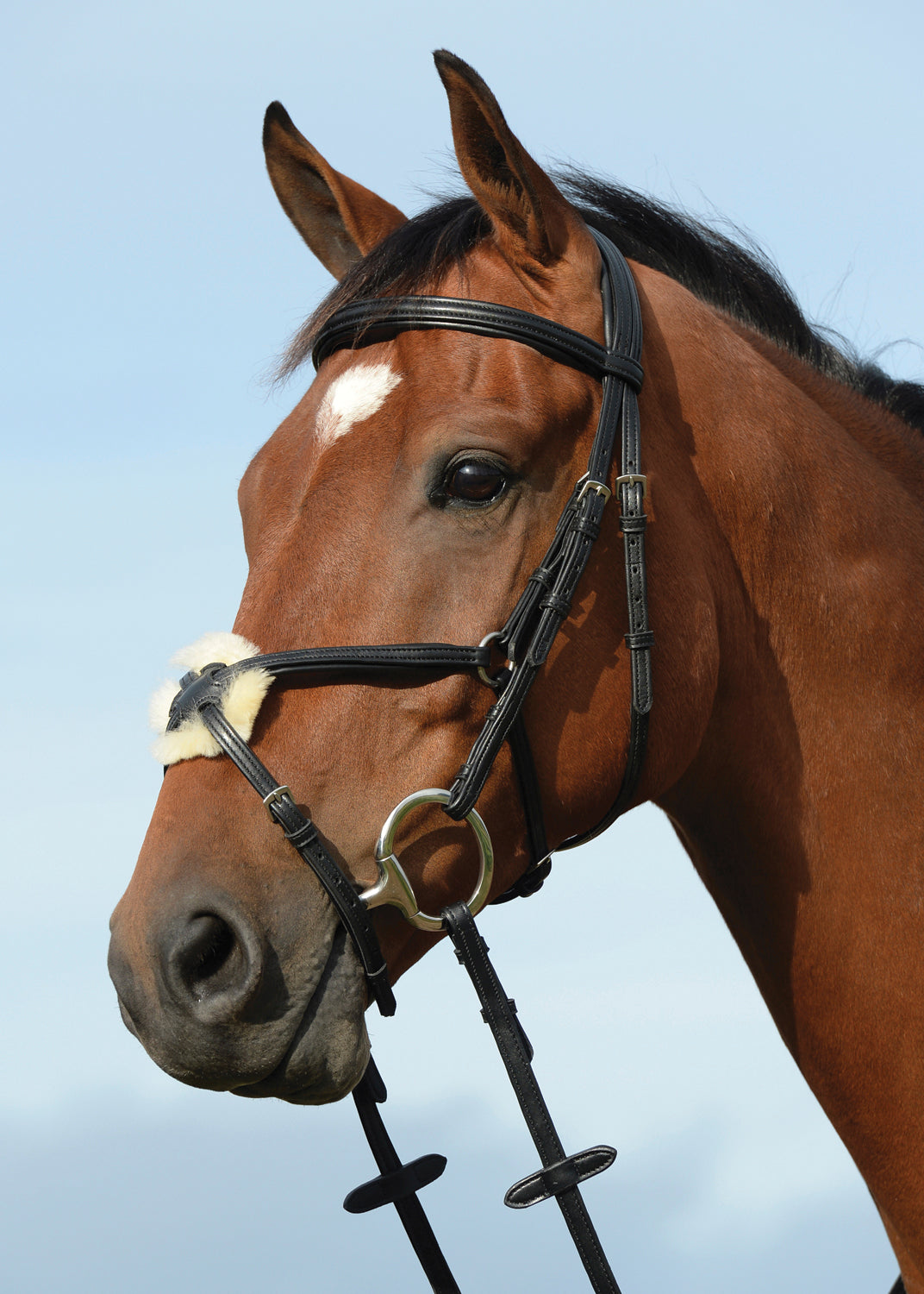 Collegiate Syntovia+ Padded Raised Figure-8 Bridle