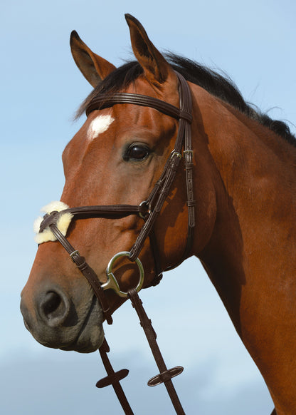 Collegiate Syntovia+ Padded Raised Figure-8 Bridle