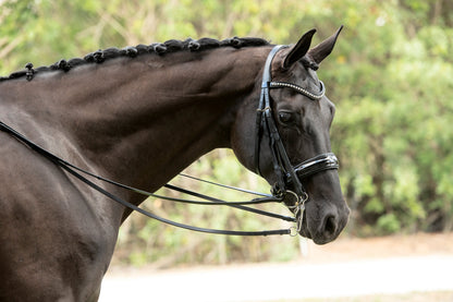 Otto Schumacher Patent Venedig Double Bridle