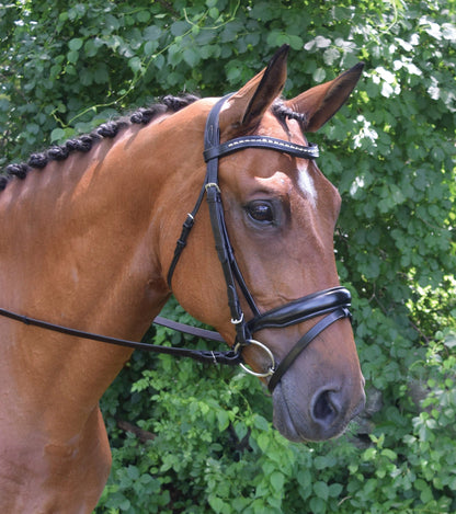 Red Barn Topline Bridle
