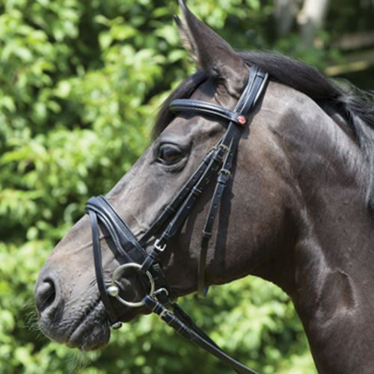 Kieffer Perseus Snaffle Bridle with Plain Browband