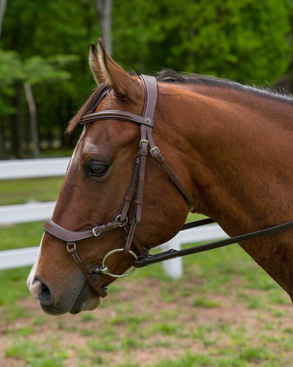 Henri de Rivel Pro Anatomical Bridle