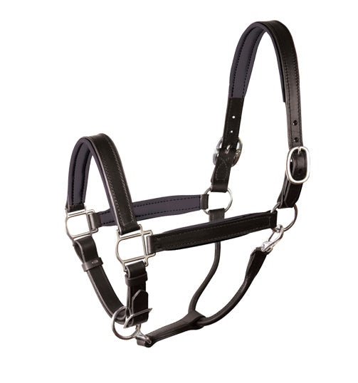 Perri’s Padded Leather Halter Crownpiece