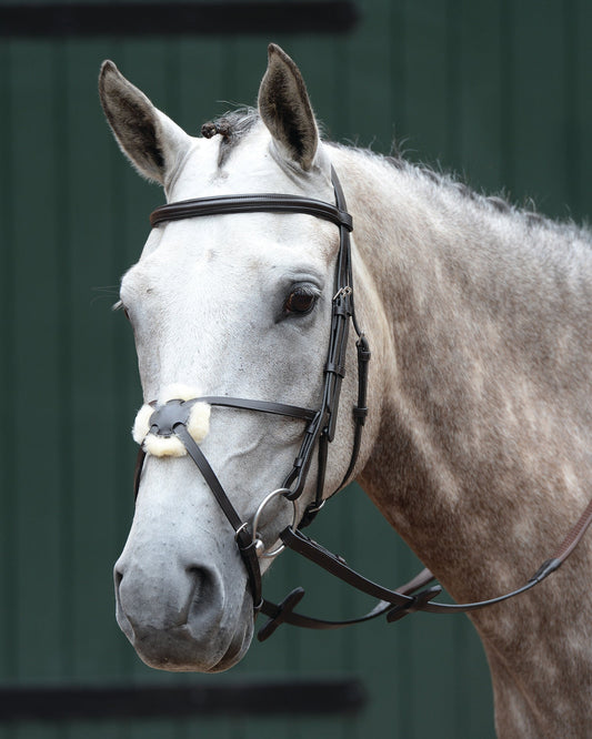 Collegiate Essential Padded Raised Figure-8 Bridle