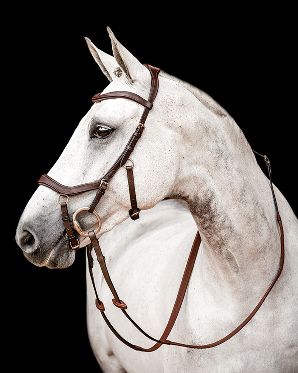 Horseware Ireland Micklem2 Competition Bridle with Reins