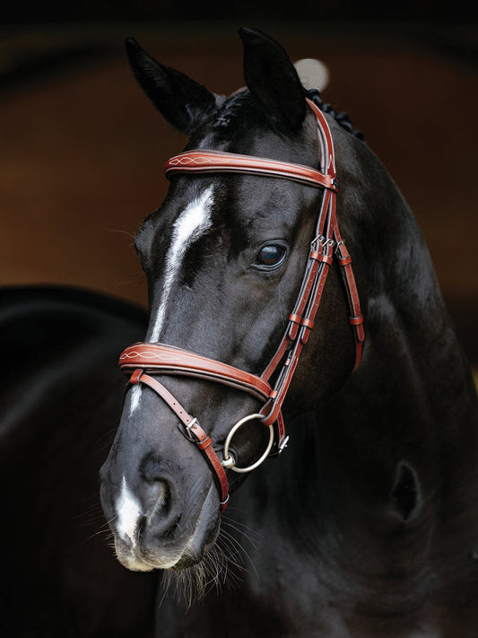 LeMieux Kudos Competition Flash Bridle