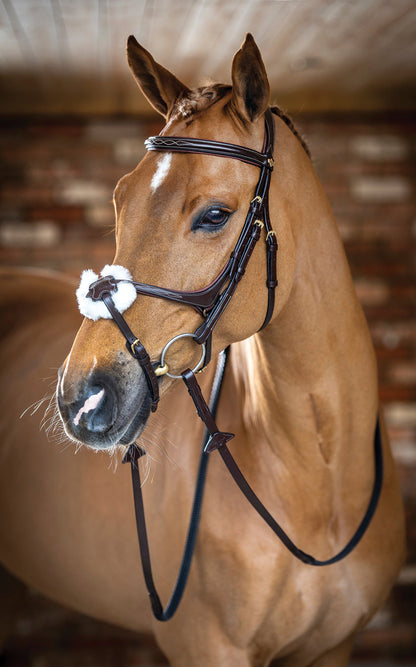 LeMieux Kudos Figure-8 Bridle