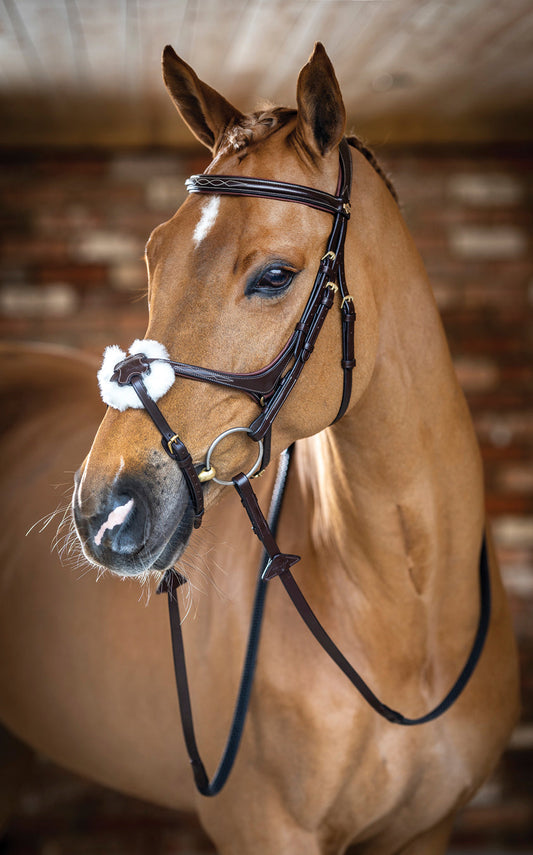LeMieux Kudos Figure-8 Bridle