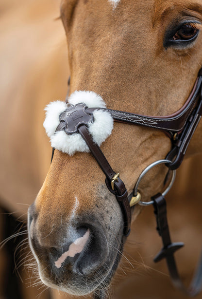 LeMieux Kudos Figure-8 Bridle