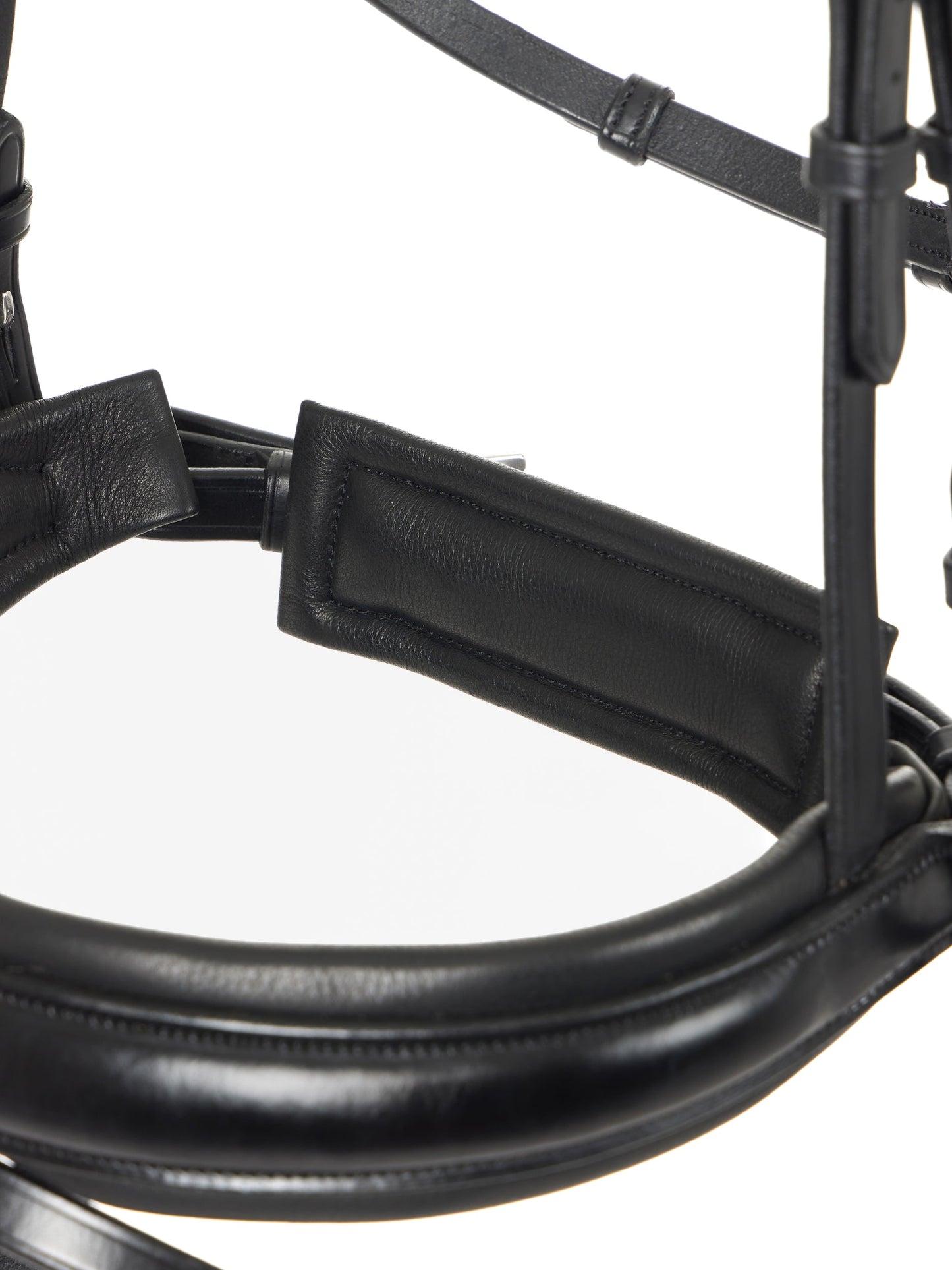 LeMieux Kudos Dressage Flash Bridle