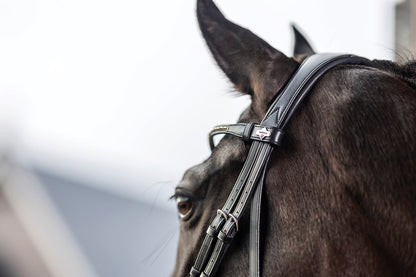LeMieux Kudos Dressage Flash Bridle