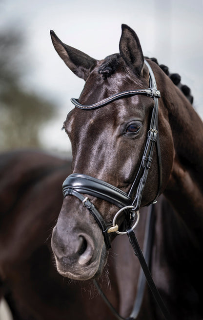 LeMieux Kudos Dressage Flash Bridle