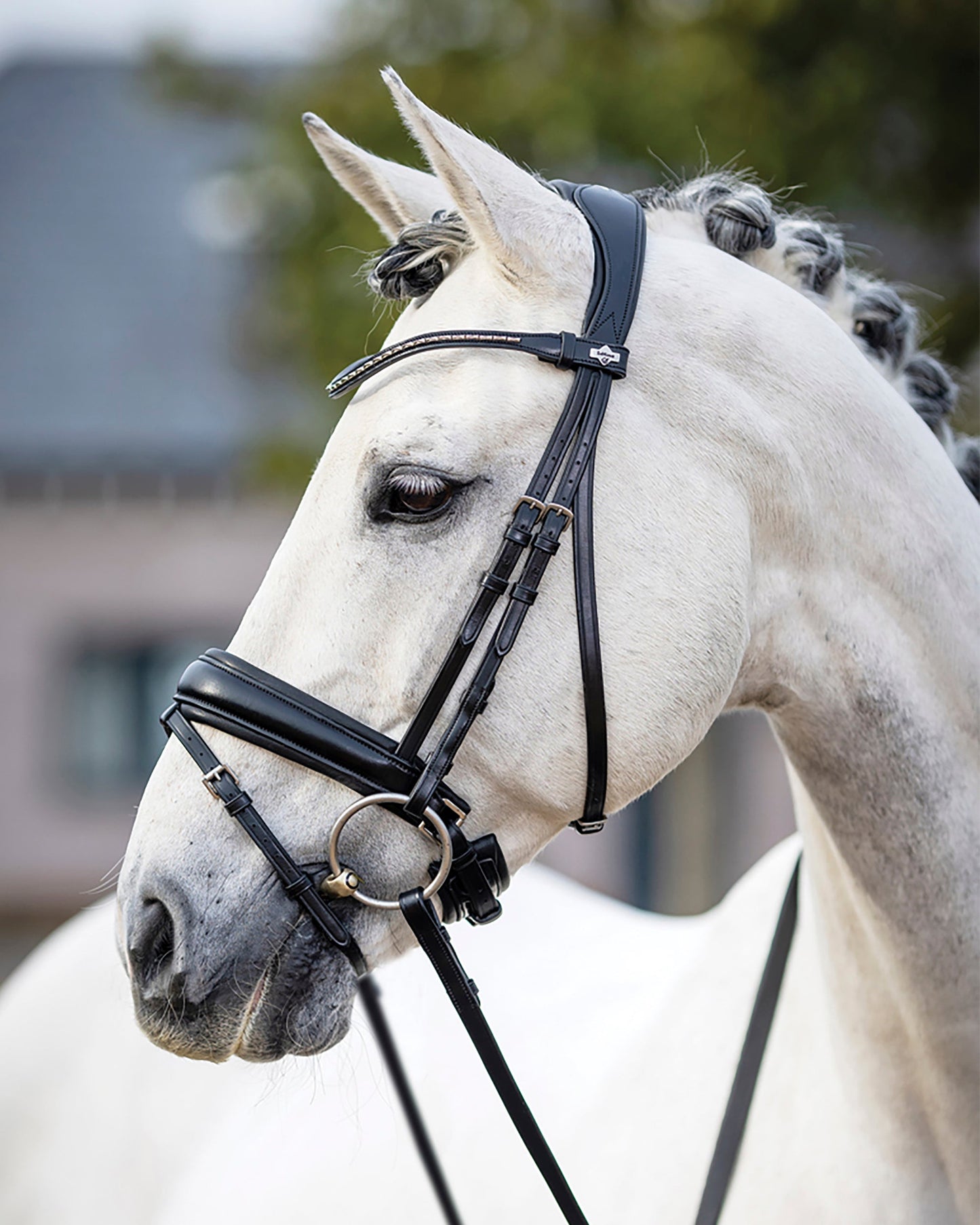 LeMieux Kudos Dressage Flash Bridle