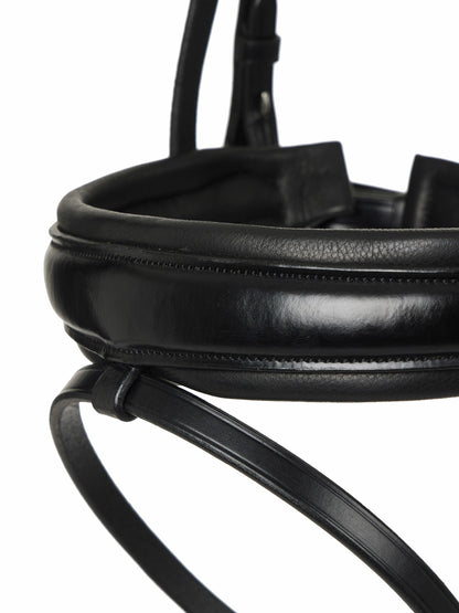 LeMieux Kudos Dressage Flash Bridle