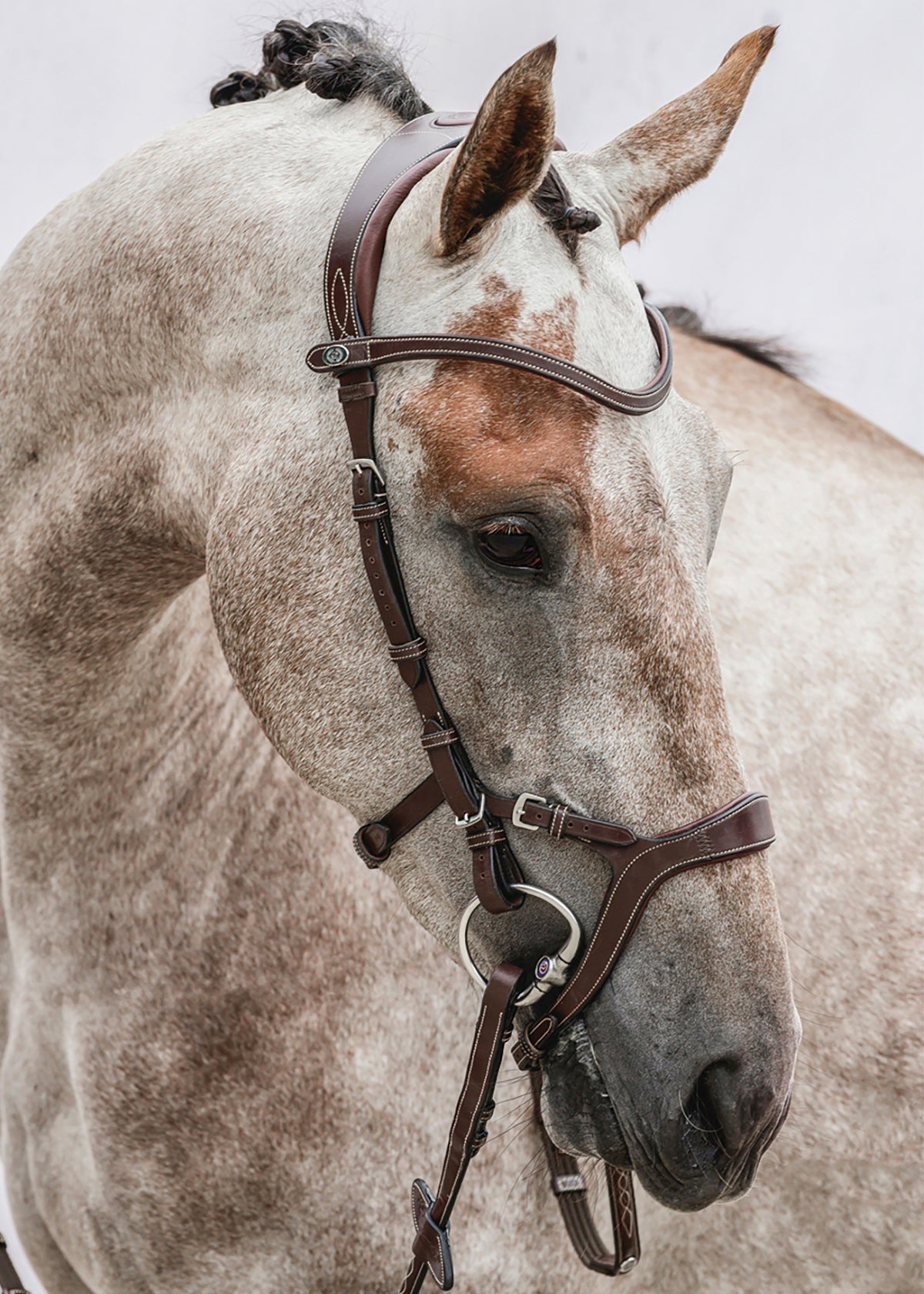 PS of Sweden Nirak Bridle