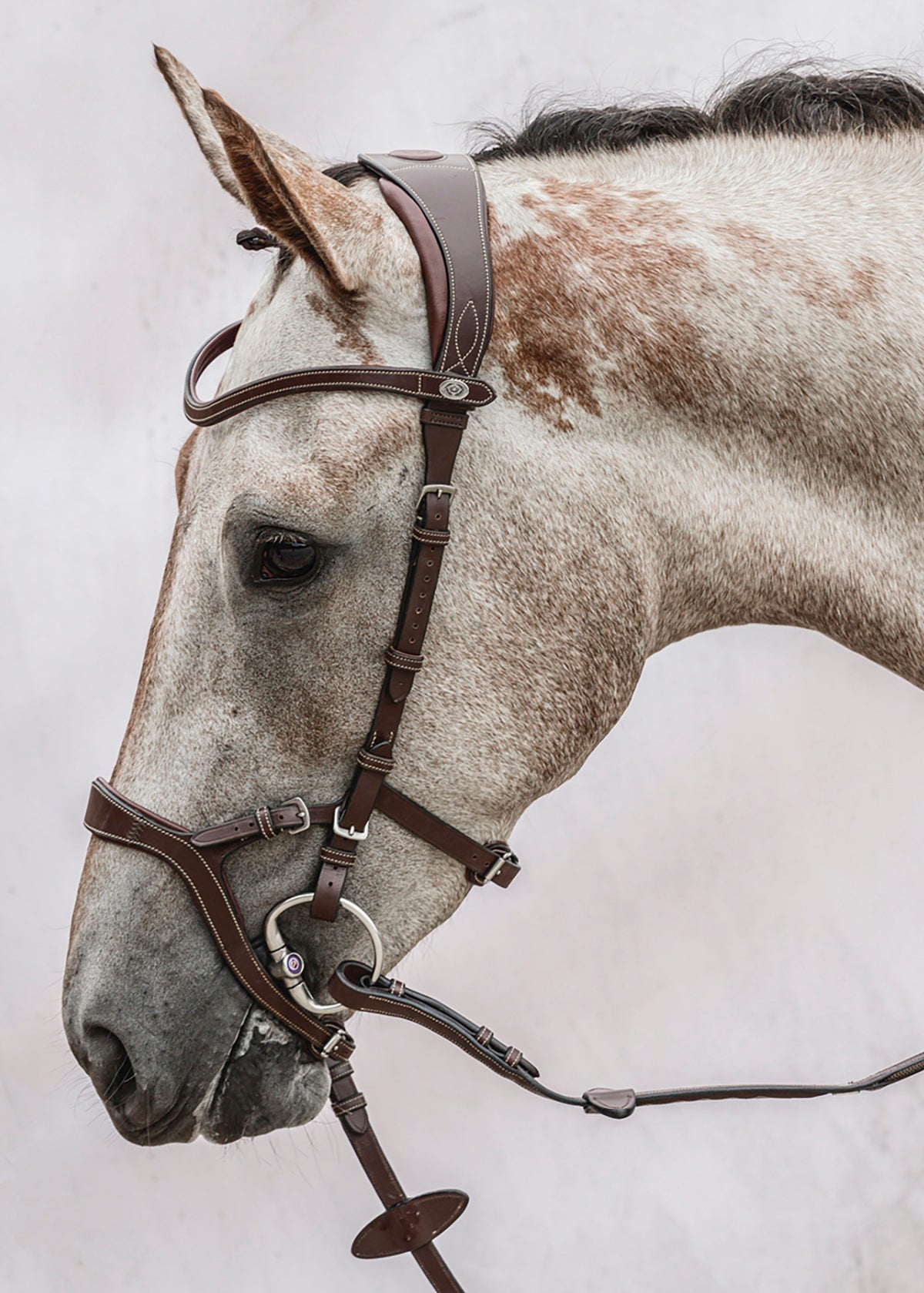 PS of Sweden Nirak Bridle