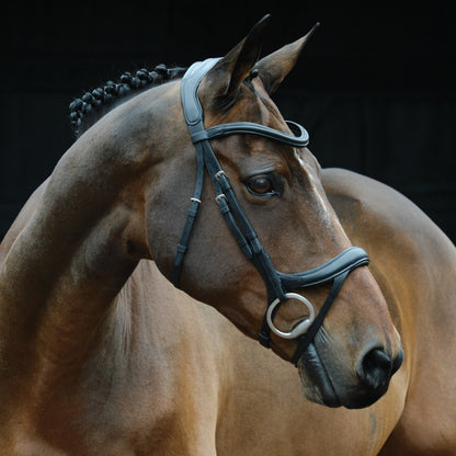 Collegiate ComFiTec Vogue Anatomic Bridle