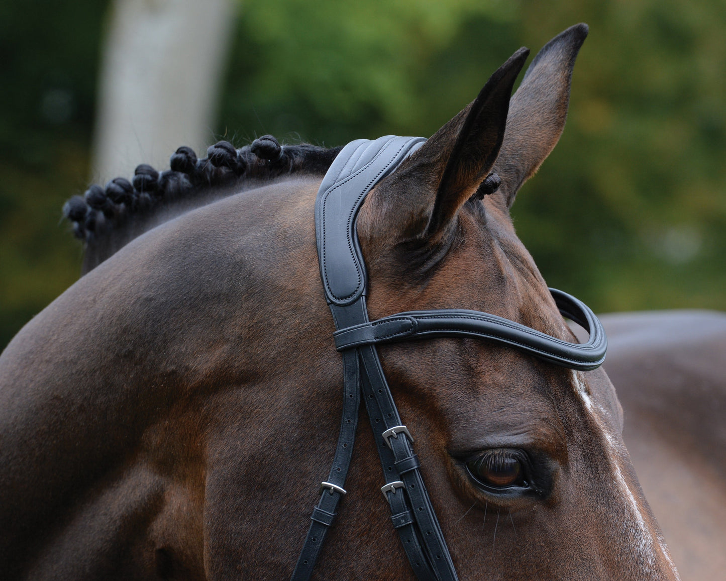 Collegiate ComFiTec Vogue Anatomic Bridle