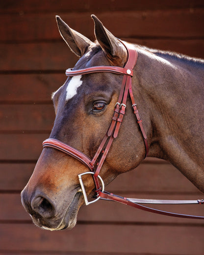 Showmark Ergonomic Hunter Bridle