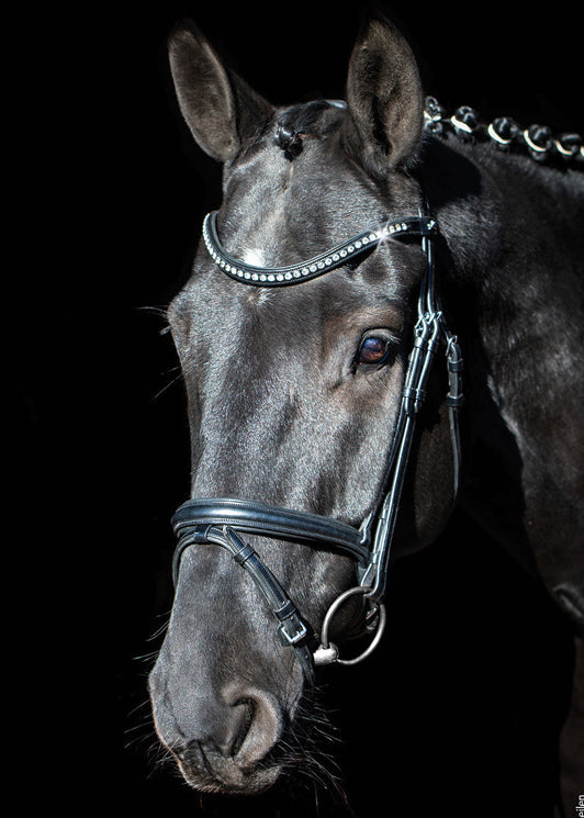 Schockemöhle Rome Select Bridle