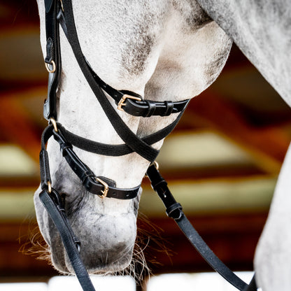 Horseware Ireland Micklem2 Multibridle USA with Reins