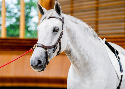 Horseware Ireland Micklem2 Multibridle USA with Reins