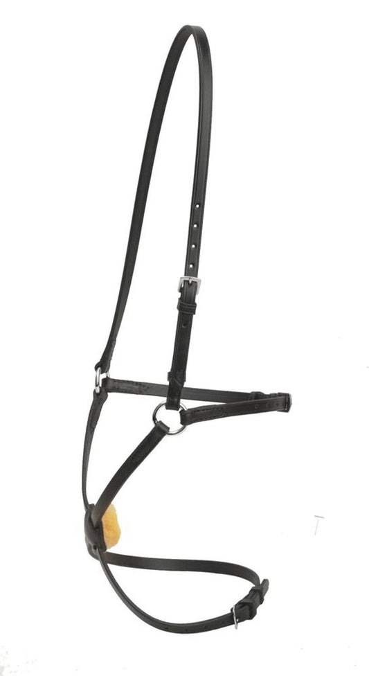 Tory Leather Company Figure-8 Noseband with Stainless Steel Rings