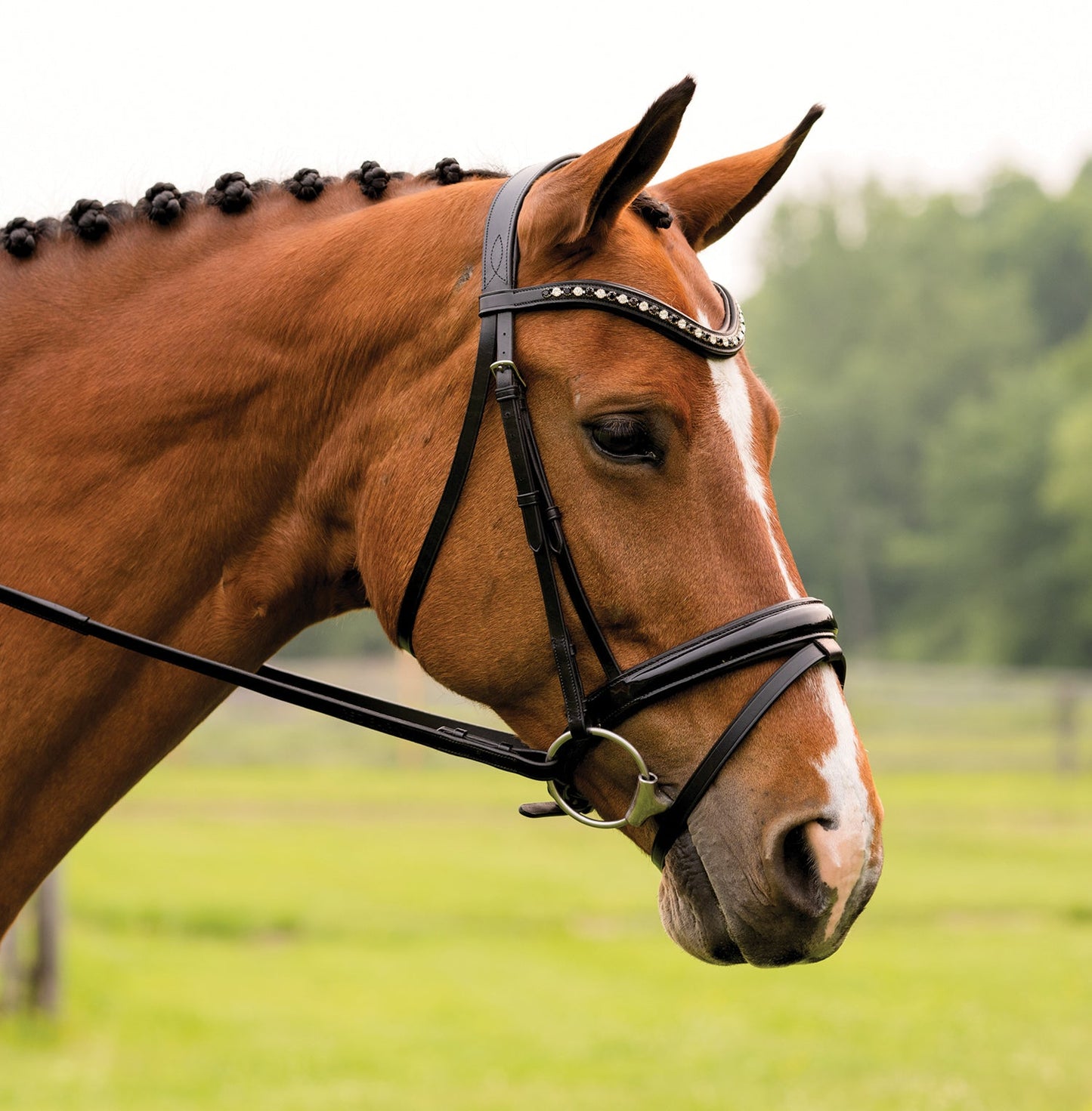 Red Barn Stride Dressage Bridle