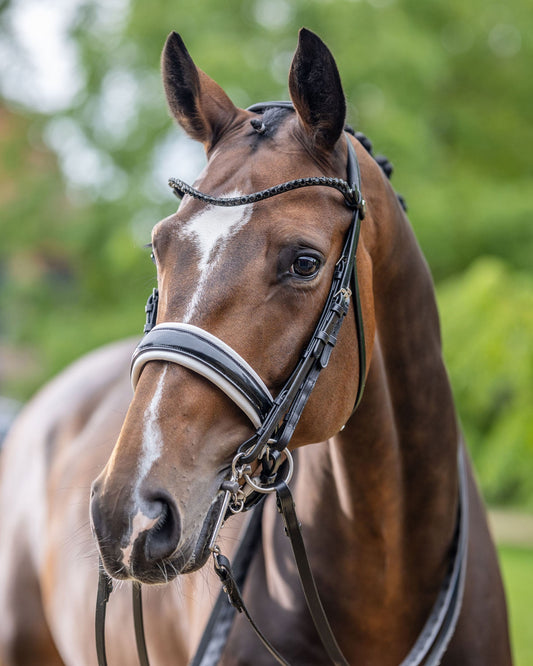 LeMieux Kudos Patent Double Bridle