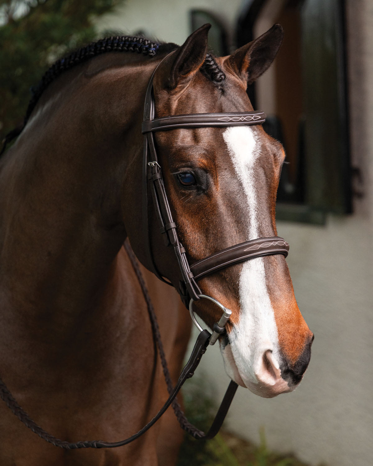 LeMieux Hunter-Stitched Bridle