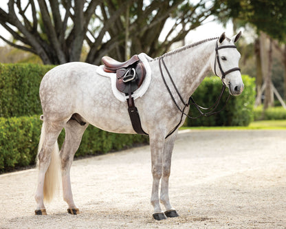 LeMieux Hunter-Stitched Bridle